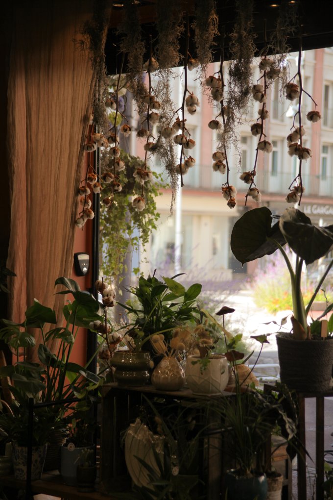 Un doux parfum d'automne photo 13